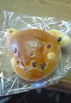 201101270937000.jpg