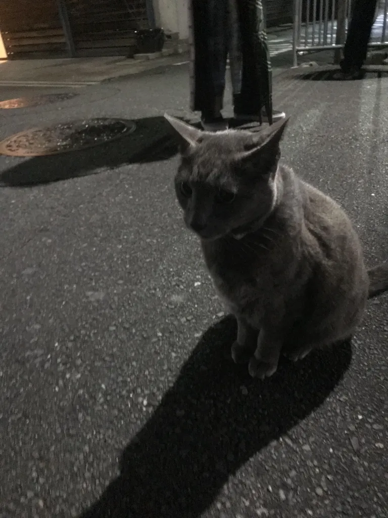 image1.jpeg