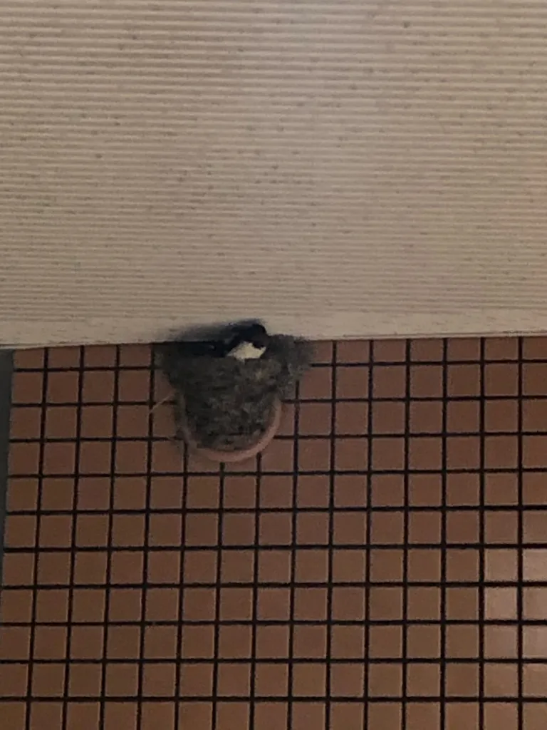 image3.jpeg